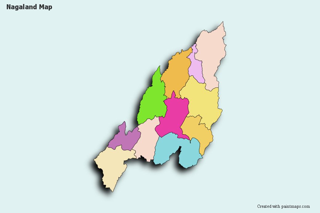 Nagaland district map